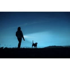 Ansmann Daily Use 150B, Taschenlampe -Haushaltsgeräte-Highlights Ansmann Daily Use 150B Taschenlampe@@1857382 12