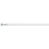 Philips MASTER LEDtube 600mm HO 8W 865 T8, LED-Lampe